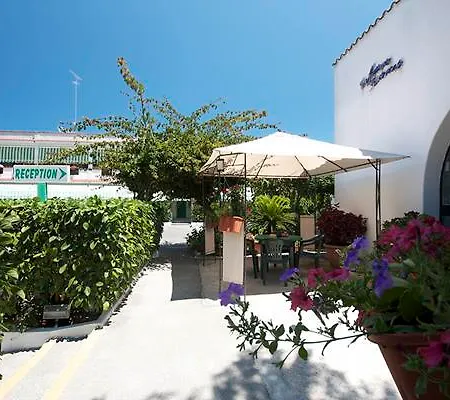Hotel Nemo
