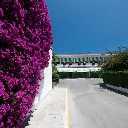Hotel Nemo